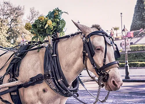 Windows中安装mysql和python3