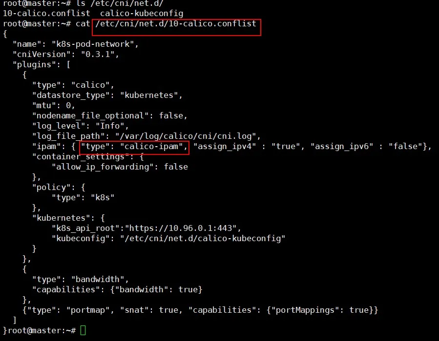 calico.webp