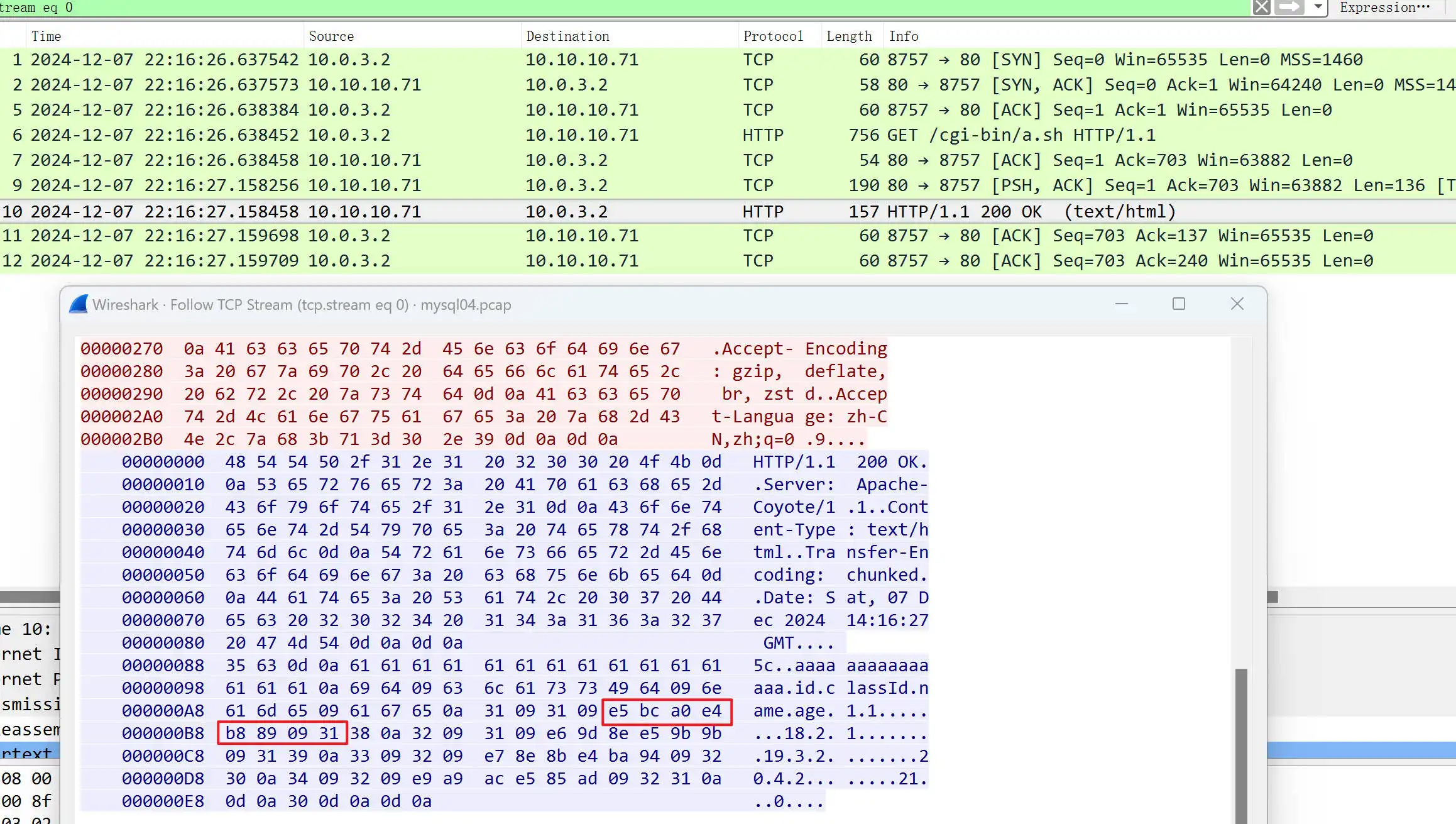 mysql抓包03-min.webp